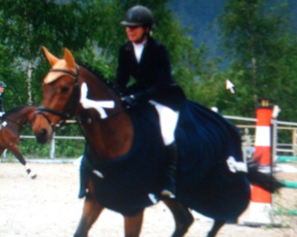 horse Flic-Flac 10 (Westphalian, 1990, from Fortissimo)