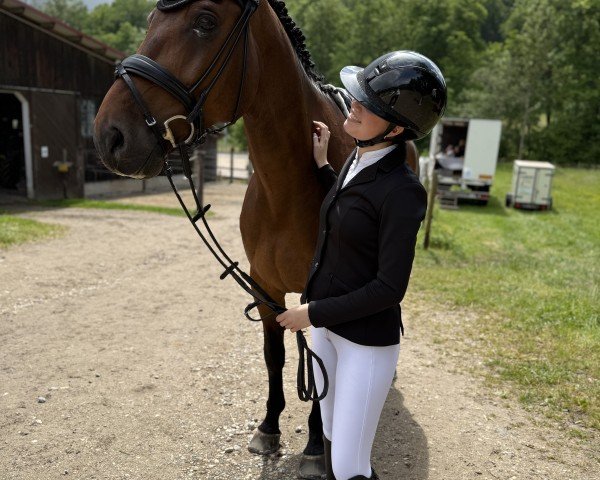 jumper Sando 98 (German Sport Horse, 2014, from Samos)