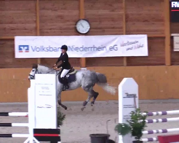 Hallenspringturnier Xanten - Reitanlage Miß 2014