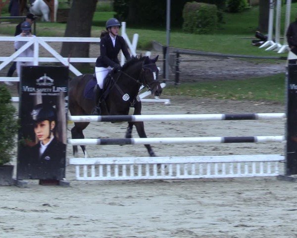 Reitturnier Hamm-Rhynern 2025
