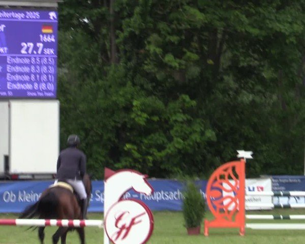Reitturnier Scharnebeck 2025