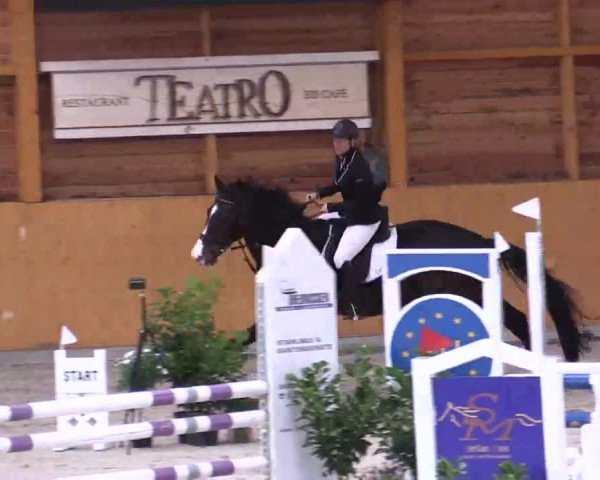 Hallenspringturnier Xanten - Reitanlage Miß 2014