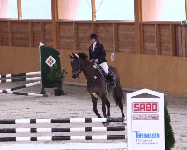 Hallenspringturnier Xanten - Reitanlage Miß 2014
