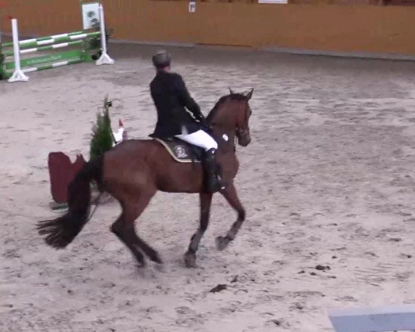 Hallenspringturnier Xanten - Reitanlage Miß 2014