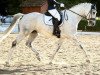 dressage horse Silvery Moonlight (Bavarian, 2004, from Silvermoon)