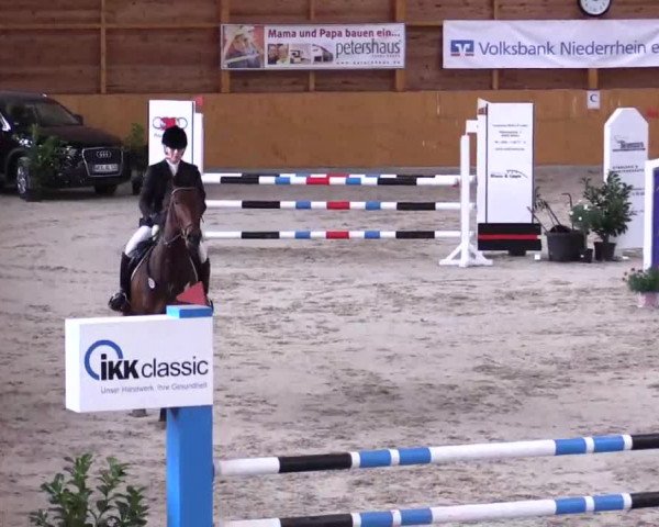 Hallenspringturnier Xanten - Reitanlage Miß 2014