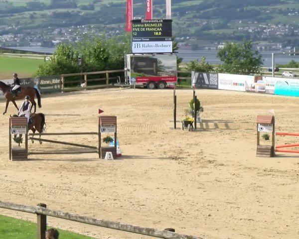Reitturnier Wädenswil 2025