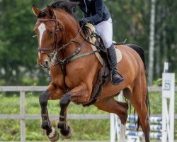 broodmare Sunflower (Hanoverian, 2011, from Stolzenberg)