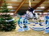 jumper Cover Me (Oldenburg show jumper, 2013, from Christian 25)