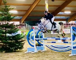 jumper Cover Me (Oldenburg show jumper, 2013, from Christian 25)