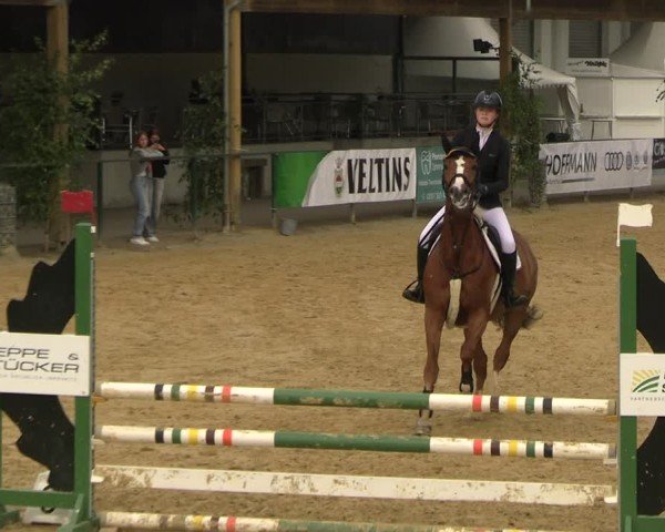 Reitturnier Hellefeld 2025