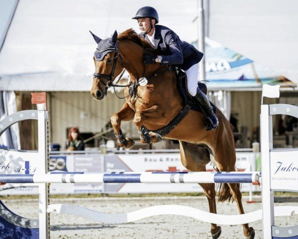 jumper Ziraldine (Oldenburg, 2018, from Zinedream)