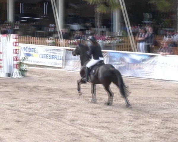 Reitturnier Lassee 2025