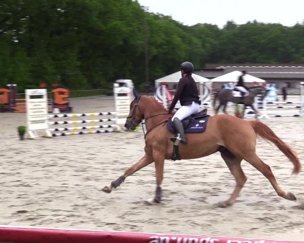 Reitturnier Kropp 2025