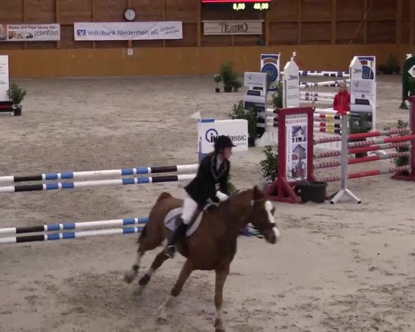 Hallenspringturnier Xanten - Reitanlage Miß 2014