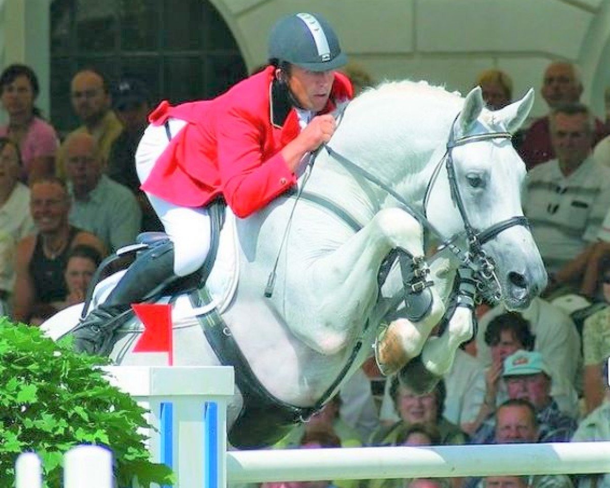 Springpferd Antonia 205 (Hannoveraner, 2017, von A La Carte NRW)