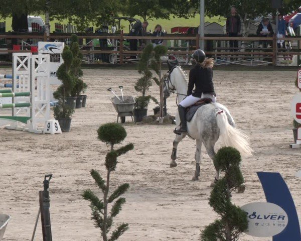 Reitturnier Kirchhellen/Stall Dieckmann 2025