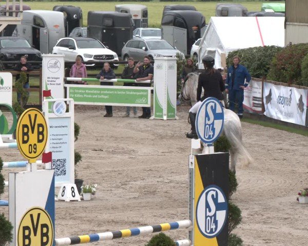 Reitturnier Kirchhellen/Stall Dieckmann 2025