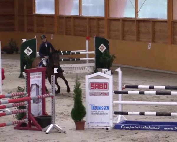 Hallenspringturnier Xanten - Reitanlage Miß 2014