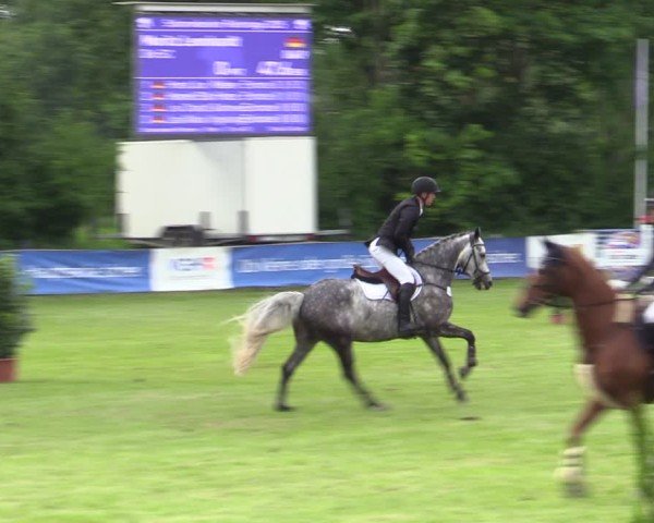 Reitturnier Scharnebeck 2025