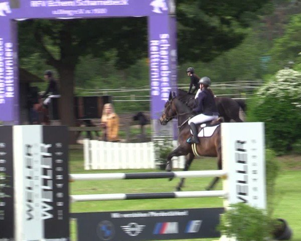 Reitturnier Scharnebeck 2025
