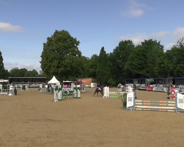 Reitturnier Hellefeld 2025