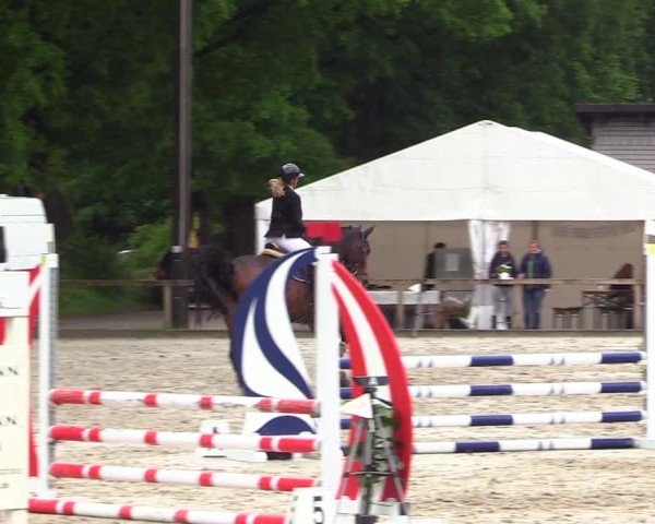 Reitturnier Kropp 2025