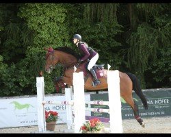 Springpferd Elena 14 (Deutsches Sportpferd, 2015, von Adagio de Talma)