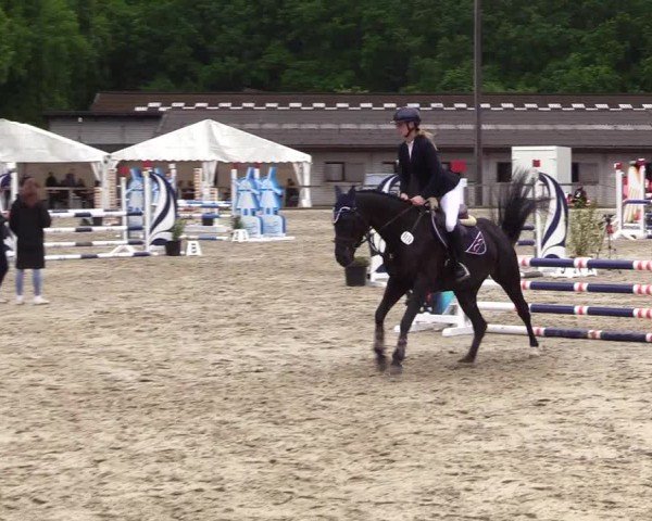 Reitturnier Kropp 2025