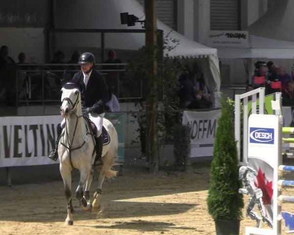 Reitturnier Hellefeld 2025