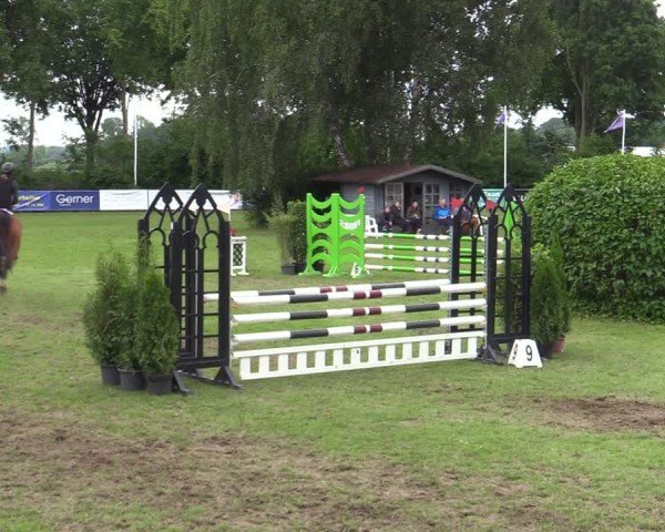 Reitturnier Scharnebeck 2025