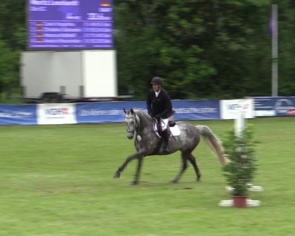 Reitturnier Scharnebeck 2025