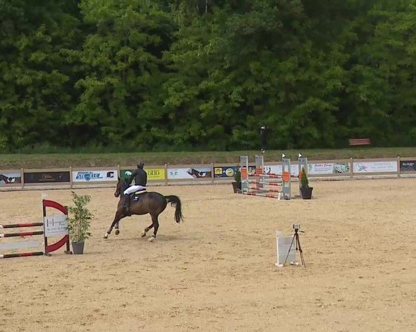Reitturnier Tiefenhof/Opf. 2025