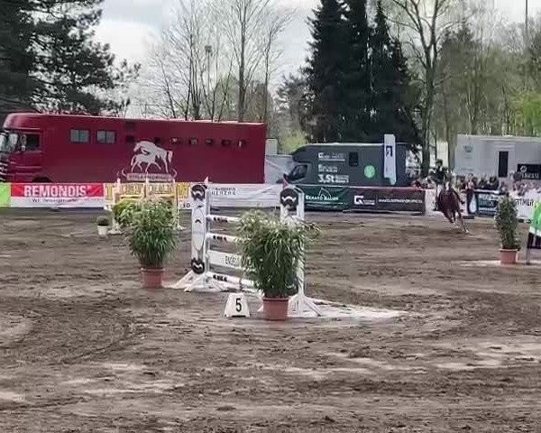 Reitturnier Bad Schwartau 2025