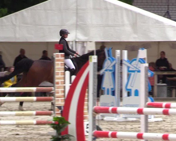 Reitturnier Kropp 2025