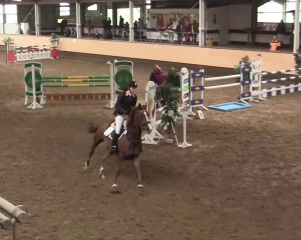 Alt Marl - Hallen-Late-Entry 2014