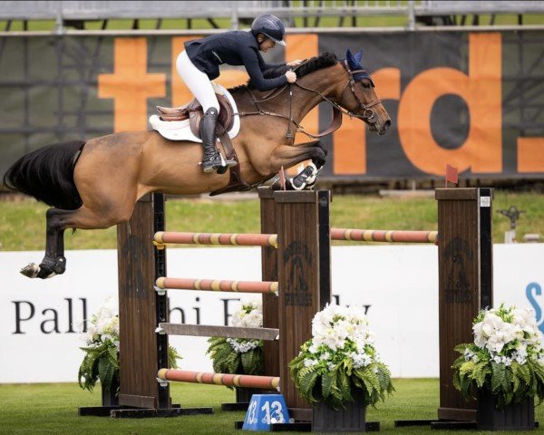 Springpferd Corinna Z (Zangersheide Reitpferd, 2016, von Cornet Obolensky)