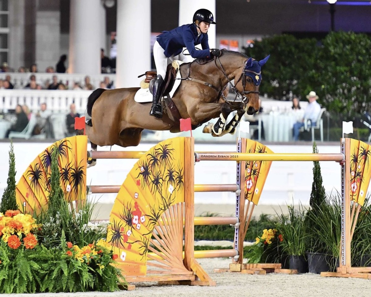 jumper Igor Gph (KWPN (Royal Dutch Sporthorse), 2013, from VDL Harley)