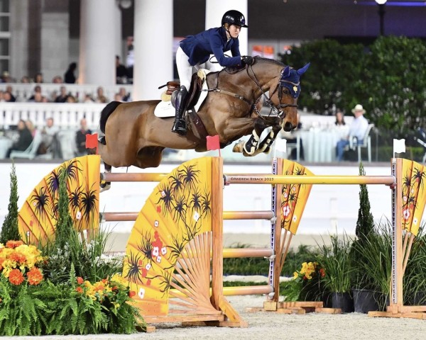 jumper Igor Gph (KWPN (Royal Dutch Sporthorse), 2013, from VDL Harley)