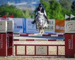 jumper Dinky Inky B (Irish Sport Horse, 2013, from Cap Nord d'Hyrencourt)