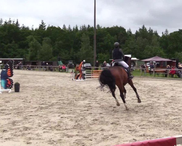 Reitturnier Kropp 2025