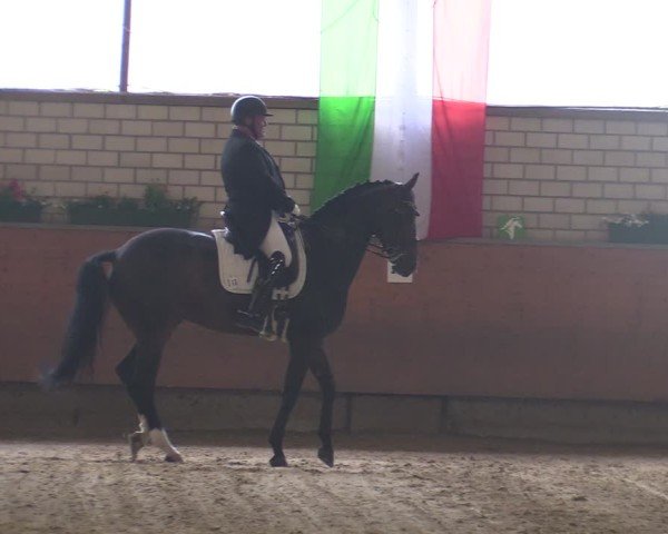 Reitturnier Hellefeld 2025