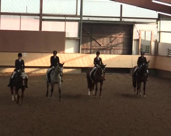 Alt Marl - Hallen-Late-Entry 2014