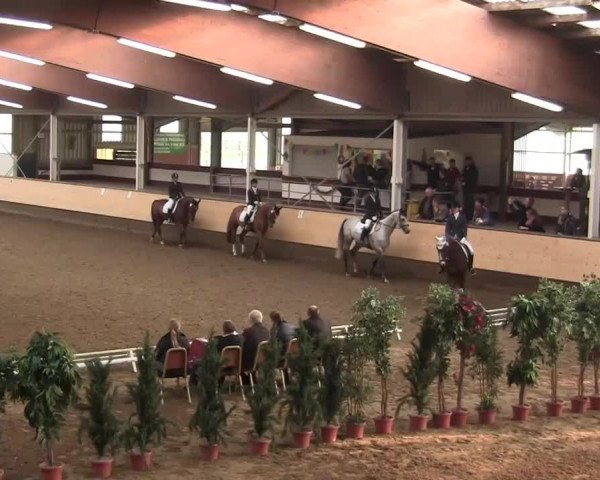 Alt Marl - Hallen-Late-Entry 2014