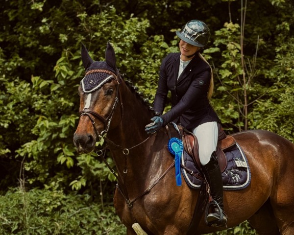 jumper Diego 615 (German Sport Horse, 2019, from Diego de Semilly)