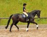 dressage horse Tarauchen (Trakehner, 2012, from Saint Cyr)