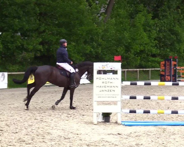 Reitturnier Kropp 2025