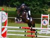 jumper PSW Poetry in Motion (German Riding Pony, 2009, from PSW Pitu)