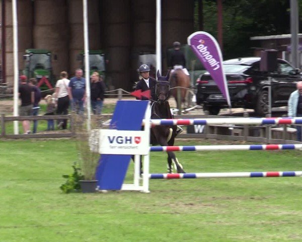 Reitturnier Scharnebeck 2025