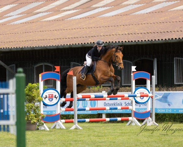 jumper Carlos 766 (Holsteiner, 2011, from Cosido)